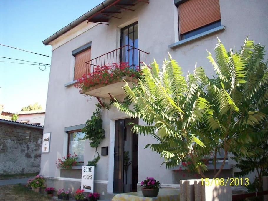 Cozy Rooms In Nature, Perfect For Relax Ilirska Bistrica Exterior photo