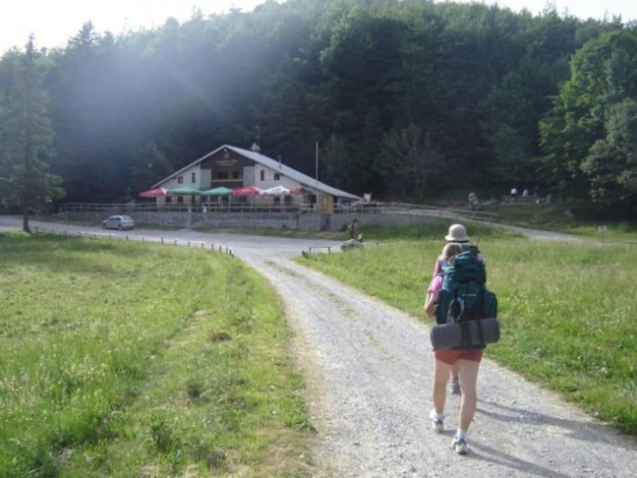 Cozy Rooms In Nature, Perfect For Relax Ilirska Bistrica Exterior photo